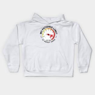 My Patience is at Redline: I’ve about reached my limit! Kids Hoodie